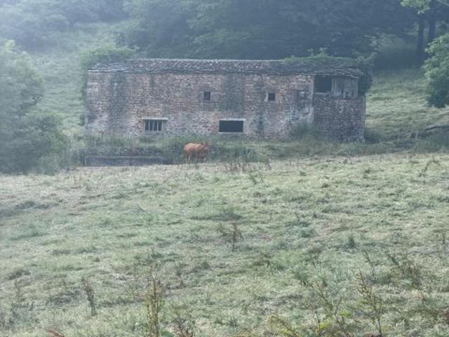 Venta de Cabaña en Selaya