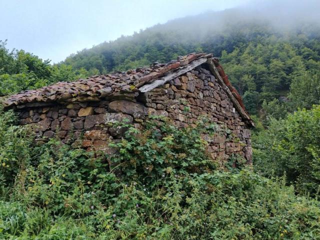 Venta de cabaña en Somiedo