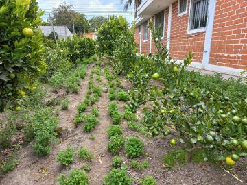 Venta de casa con terreno en Bellavista de Ibarra