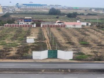 VENTA DE CASA DE CAMPO EN CHINCHA BAJA DE 41,892 M2 TIPO CLUB CAMPESTRE