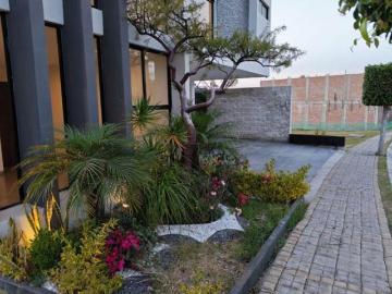 Venta de Casa en Calle Parque Hidalgo Circuito Hidalgo No 110 Col Lomas De Angelopolis III, Ocoyucán
