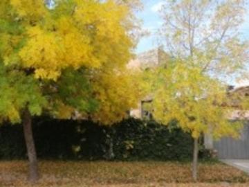 Venta de casa en Chacras de Coria