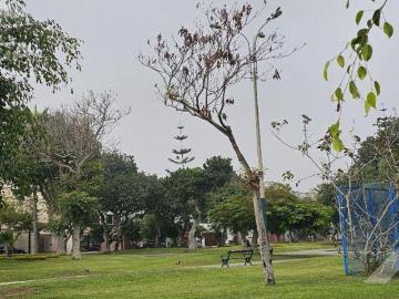 Venta de casa frente a parque SURCO