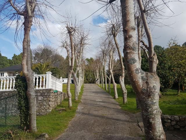Venta de chalet en A Coruña, Calle Bandebo Brexo Lema Cambre