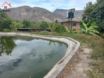 Venta de con casa de campo en Marcarilla sector Pambacienda Quinta en Venta en Ibarra