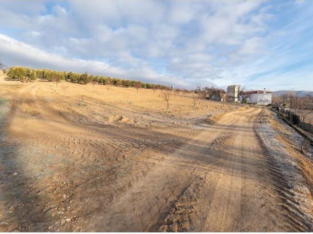 Venta de cortijo en Píñar Granada