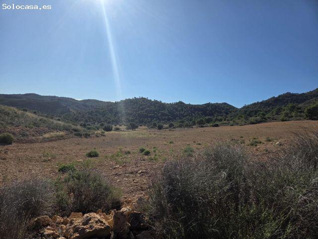 Venta de Coto privado de Caza Mayor y Menor, Sierra Almagro, levante Almeriense