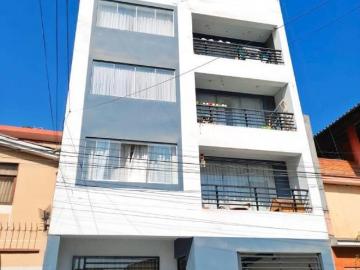 Venta De Departamento En Mangomarca Sjl