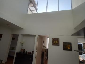 Venta de Departamento en Miraflores, Lima | Bolsa Inmobiliaria Perú