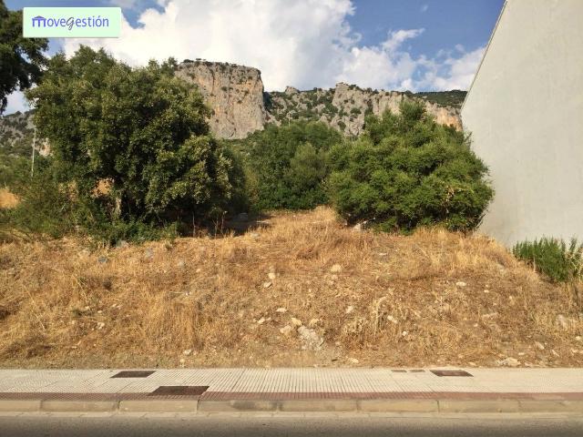 VENTA DE DOS SOLARES ZONA LA VEGA