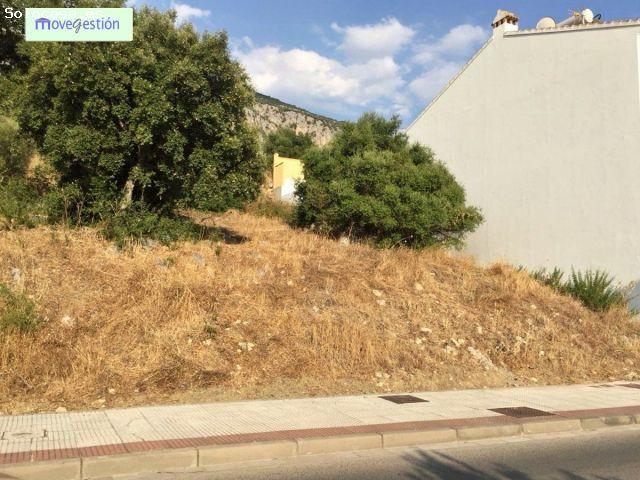 VENTA DE DOS SOLARES ZONA LA VEGA