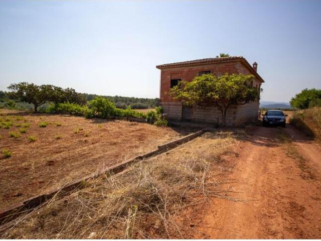 VENTA DE DOS TERRENOS UNO DE ELLOS CON CASA DE CAMPO