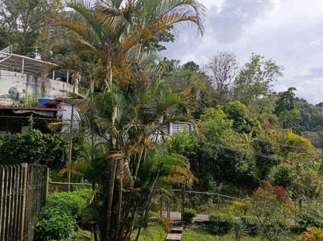 VENTA DE ESPECTACULAR CASA EN SAN ANTONIO DE LOS ALTOS