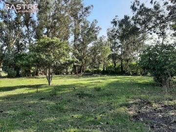 Venta de espectacular Departamento 1 ambiente en Miramar