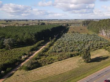 Venta de espectacular Quinta 1 ambiente en San Carlos