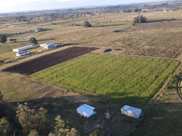 Venta de espectacular Quinta 2 ambientes en San Carlos