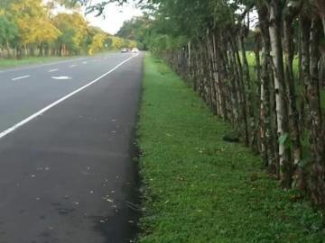 Venta de Espectacular Terreno de 11 Hectáreas en Vía David a Boquete