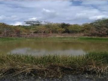 Venta de espectacular terreno en Chetumal
