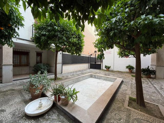 VENTA DE ESTUDIO EN PAVANERAS