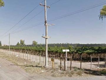 Venta de finca 50 has en el mirador, rivadavia, mza
