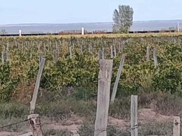 Venta de finca 169,5 has con gran potencial en santa rosa mza