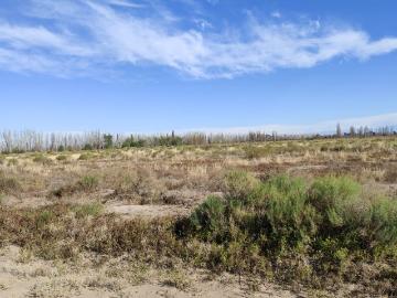 Venta de finca 25 has en calle nueva gil, la central rivadavia