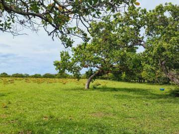 Venta de Finca ubicada en Horconcito, Chiriquí