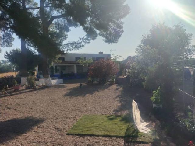 Venta de Finca a 500 metros de Manzanares