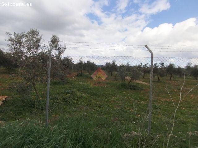 VENTA DE FINCA A 7 MINUTOS DE RONDA