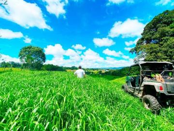 Venta de Finca Alto de Monte Lirio Tierras Altas Chiriqui
