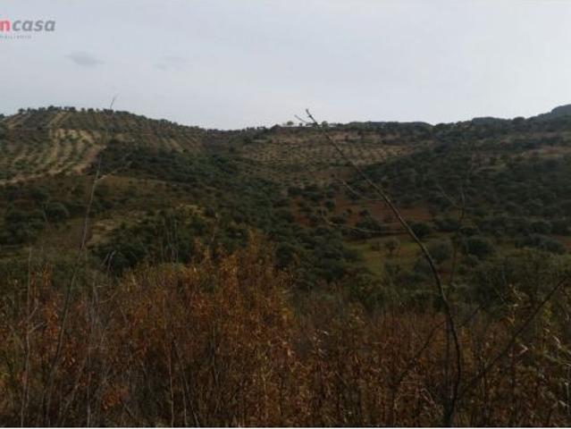 VENTA DE FINCA CINEGETICA