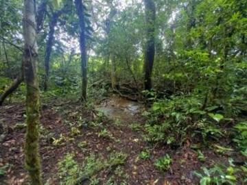 Venta de Finca con casa en Potrerillos, Chiriquí