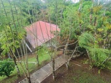 Venta de finca con casa en Santa Rita, Colón