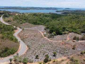 Venta de finca de 15 hectáreas ubicada en Playa Hermosa, Chiriquí