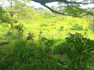 Venta de Finca de 2 hectareas en Gualaca