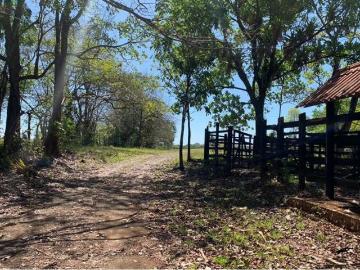 Venta de finca de caballos y ganado en playa hicaco, santa catalina, veraguas