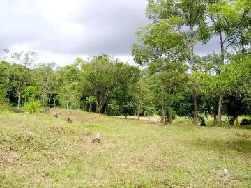 Venta de finca en tolú, los santos