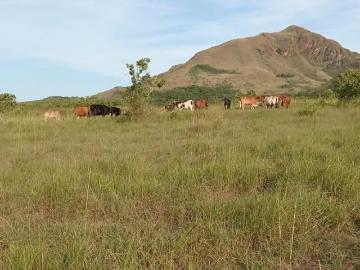 Venta de Finca en Toza de Natá, Coclé, 100 hectáreas