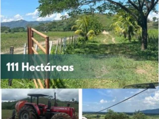 Venta de Finca en Yaracuy