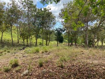 VENTA DE FINCA EN BARU CHIRIQUI