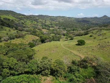 Venta de Finca en Campana, 300 Hectáreas