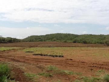 Venta de Finca en Calobre, Veraguas, 116 hectáreas