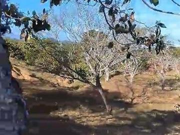 Venta de Finca en Calobre, Veraguas, 72 hectáreas