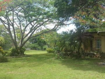Venta de Finca en Cerro Cama, 18 hectáreas