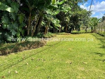 Venta de finca en Chorrera