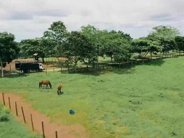 Venta de Finca en Chorrera, 2,9 Ha