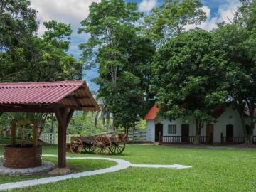 Venta de Finca en Chorrera, Panamá Oeste, 12.5 hectáreas