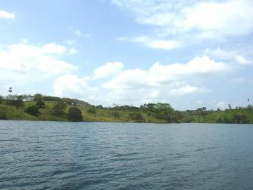 Venta de Finca en Chepo, Lago Bayano, 97 hectáreas