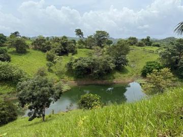 Venta de Finca en Chepo, Lago Bayano, 97 hectáreas