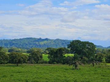 Venta de Finca en Chiriquí Panamericana, Terreno cerca de Megaproyectos